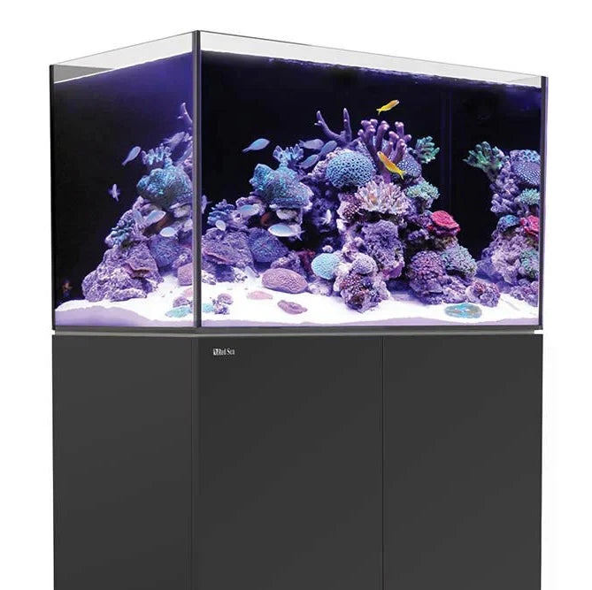 Reef Aquarium