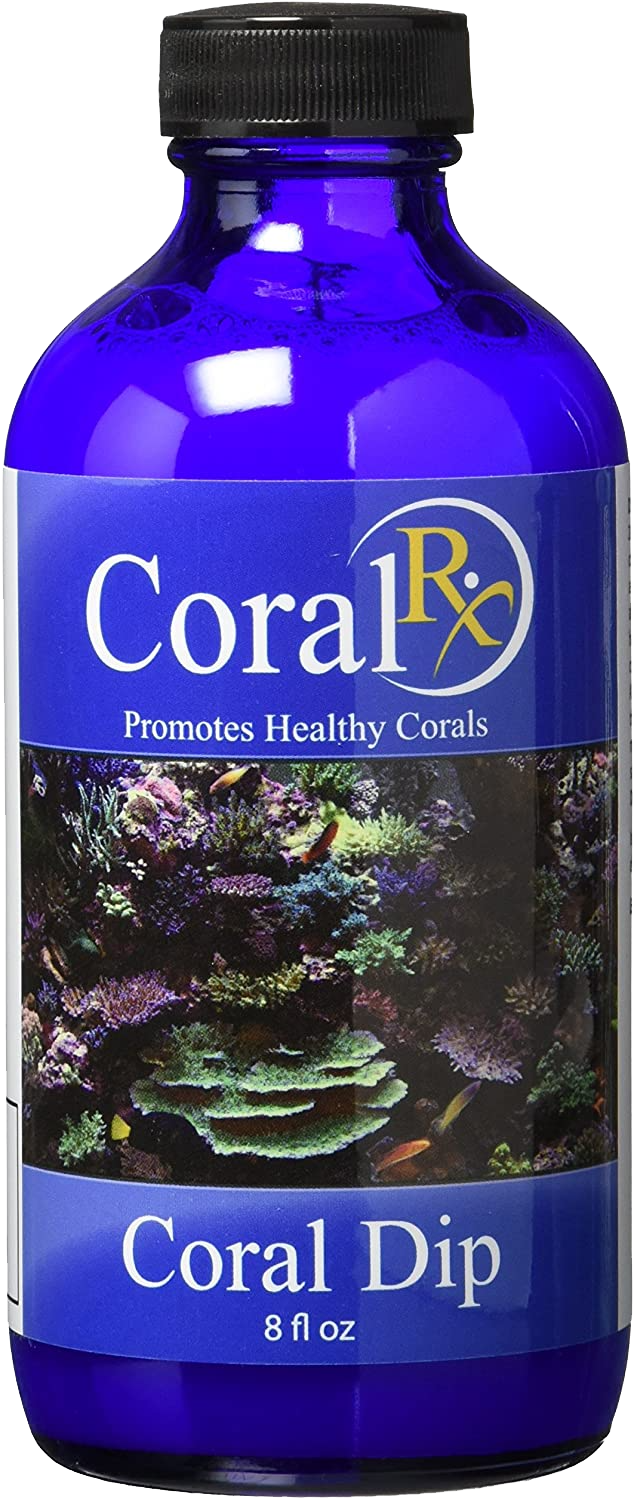 Coral RX Coral Dip