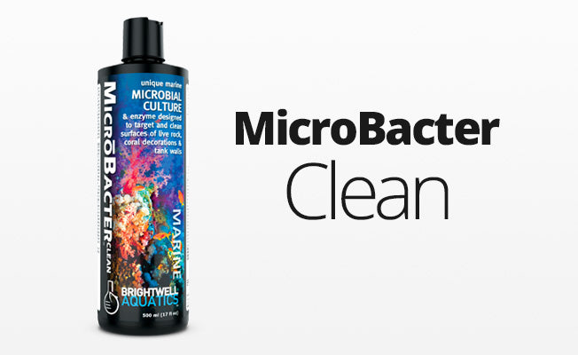 Brightwell Microbacter Clean